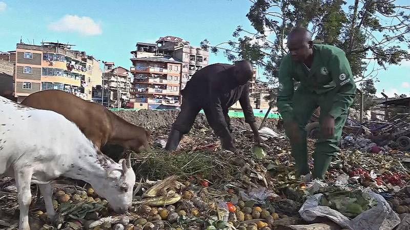 Как пищевые отходы в Кении превращают в ценные продукты