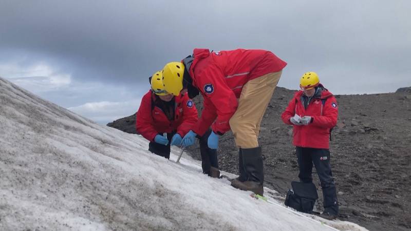Микроорганизмы из Антарктиды и Атакамы полетят в космос в рамках эксперимента