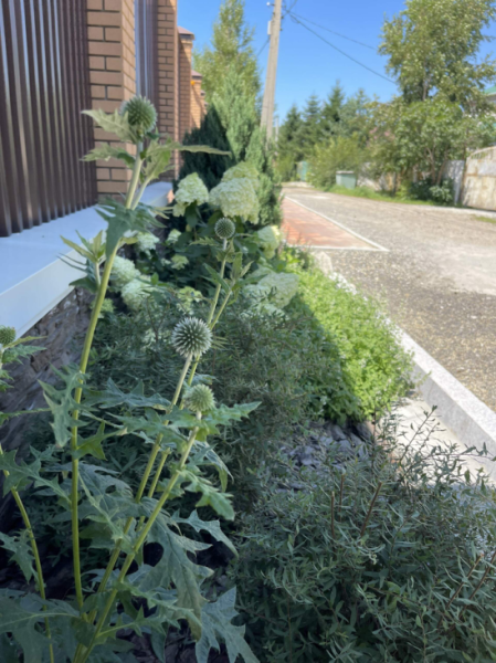 🌿 Мы создаем красоту не только на участке, но и за его пределами, ведь первое впечатление начинается с подъезда к...