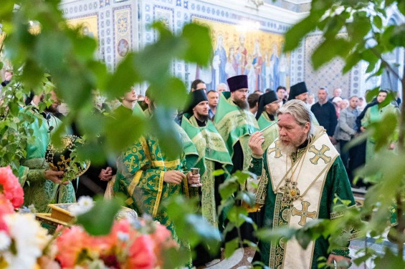 "...Это совсем другое, какой-то священный сад