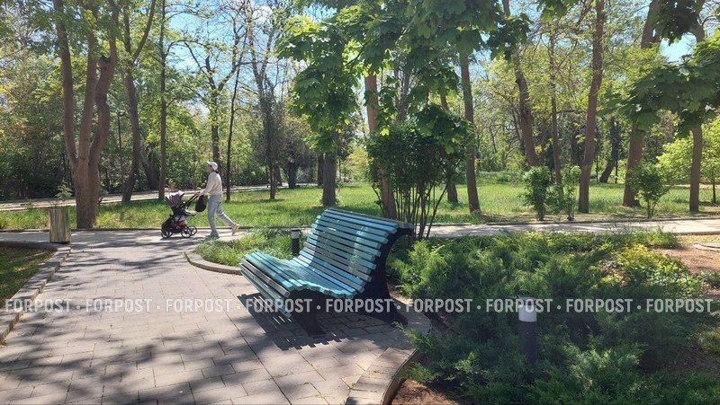 Полным ходом идёт реконструкция Сакского курортного парка, заложенного на западе Крыма ещё в 1891 году