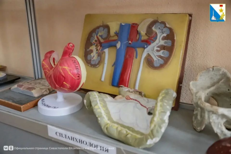 Севастопольский медицинский колледж имени Жени Дерюгиной распахнул двери для будущих студентов