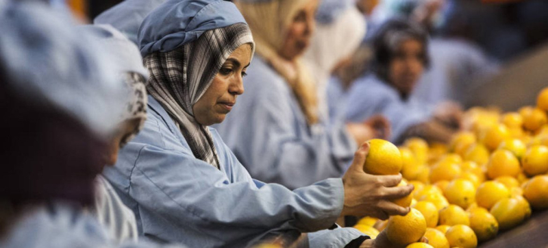 ВОЗ: загрязненные продукты питания ежегодно становятся причиной 1,5 миллиона смертей