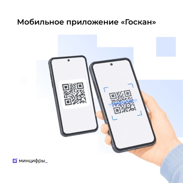 Минцифры представило приложение &laquo;Госкан&raquo; для быстрой проверки данных по QR-коду