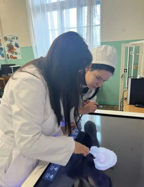 В Институте фундаментальной медицины СевГУ продолжается приёмная кампания