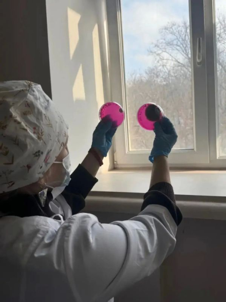 В Институте фундаментальной медицины СевГУ продолжается приёмная кампания