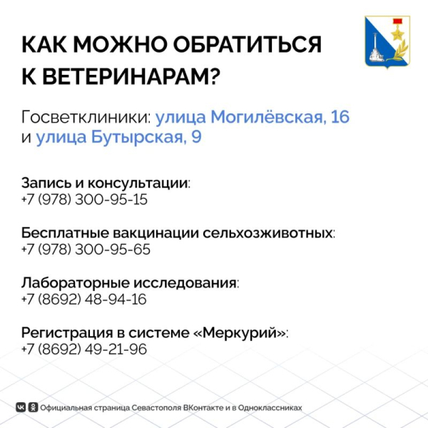 Животные Севастополя в порядке: госветслужба провела тысячи исследований и вакцинаций в июле