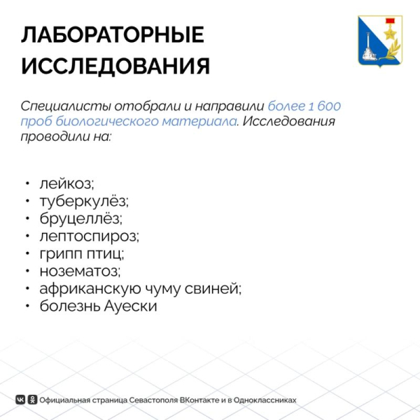 Животные Севастополя в порядке: госветслужба провела тысячи исследований и вакцинаций в июле