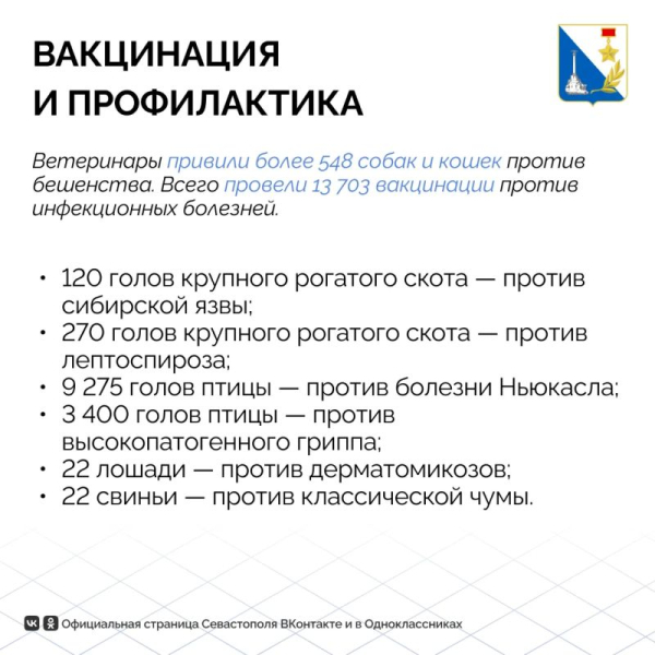 Животные Севастополя в порядке: госветслужба провела тысячи исследований и вакцинаций в июле