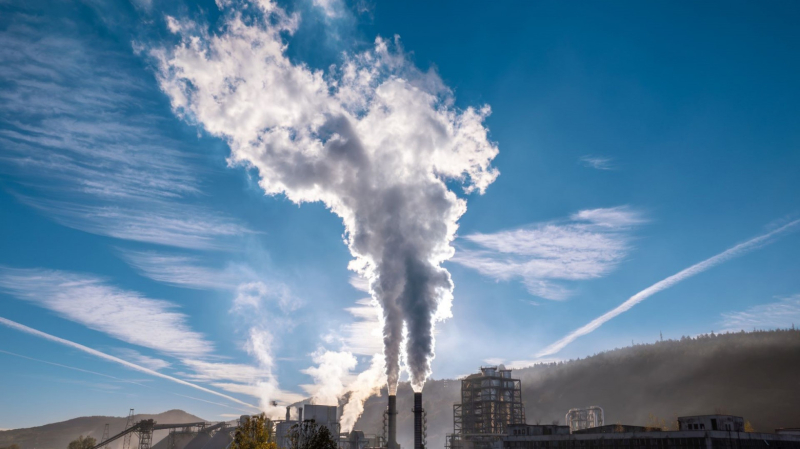 Учёные нашли способ преобразовывать выбросы CO₂&nbsp;заводов непосредственно в&nbsp;топливо