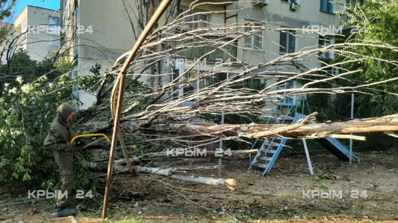 Упавшее дерево повредило газовую трубу в Феодосии