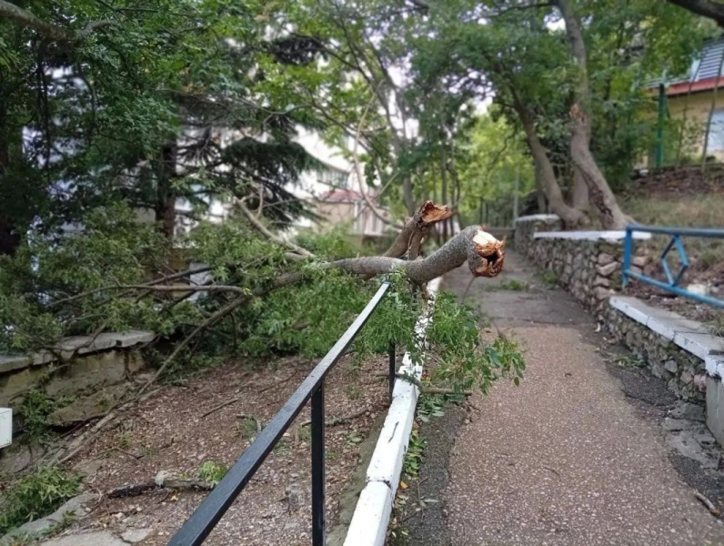 В Ялте из-за сильного ветра и дождя городские службы работают в усиленном режиме