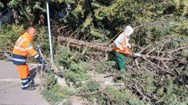 В Ялте из-за сильного ветра и дождя городские службы работают в усиленном режиме