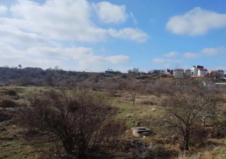 В Севастополе подвели итоги голосования за благоустройство: в 2027 году оно затронет четыре территории