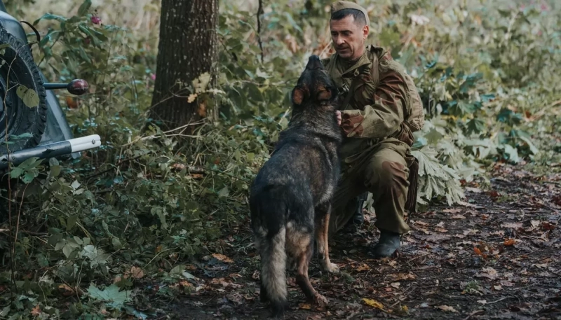 НТВ снимает продолжение военной драмы "Солдат по кличке Рекс"