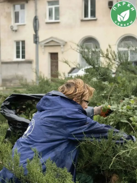 В скверах Севастополя высадили юкку и привели в порядок можжевельник