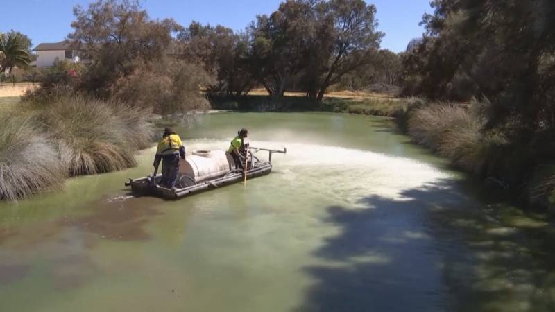 В Австралии создали глину, которая помогает остановить цветение воды